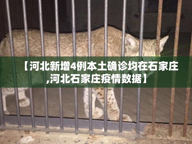 【河北新增4例本土确诊均在石家庄,河北石家庄疫情数据】 【河北新增4例本土确诊均在石家庄,河北石家庄疫情数据】