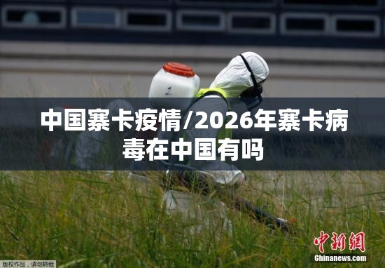中国寨卡疫情/2026年寨卡病毒在中国有吗
