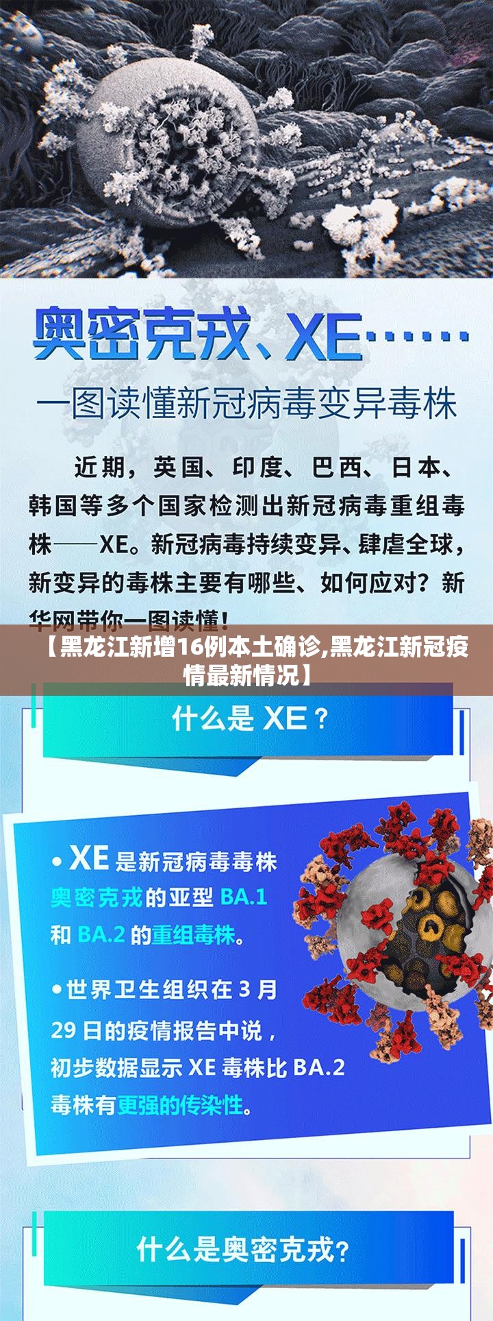 【黑龙江新增16例本土确诊,黑龙江新冠疫情最新情况】 【黑龙江新增16例本土确诊,黑龙江新冠疫情最新情况】