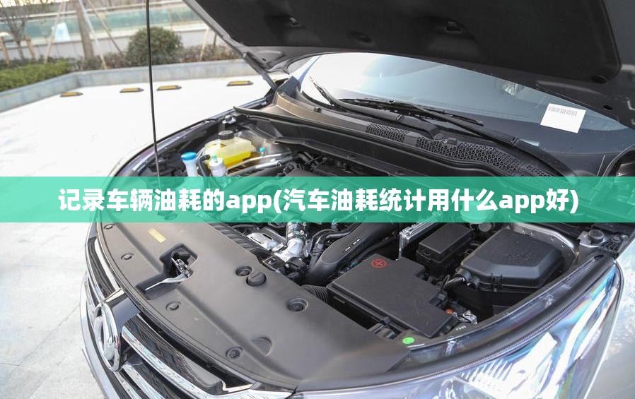 记录车辆油耗的app(汽车油耗统计用什么app好) 记录车辆油耗的app(汽车油耗统计用什么app好)
