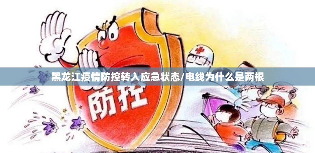 黑龙江疫情防控转入应急状态/电线为什么是两根