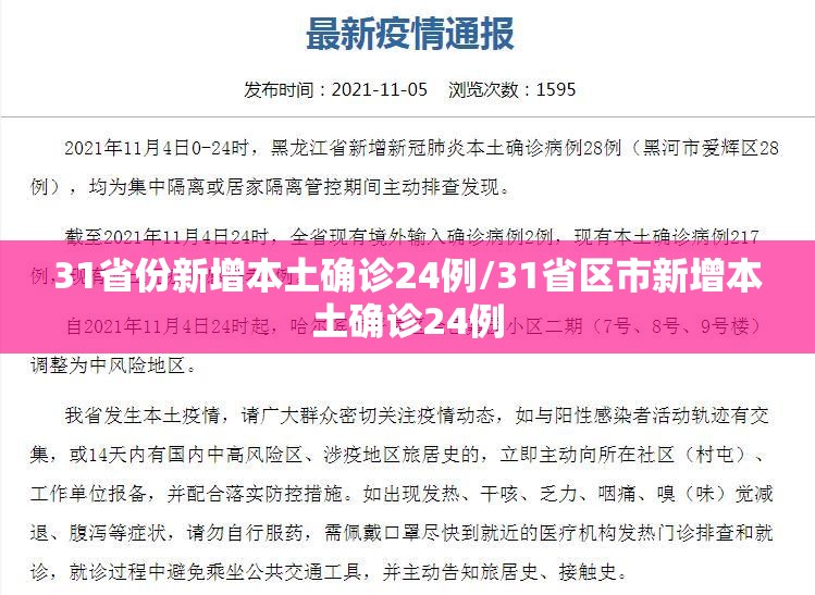 31省份新增本土确诊24例/31省区市新增本土确诊24例