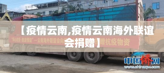 【疫情云南,疫情云南海外联谊会捐赠】 【疫情云南,疫情云南海外联谊会捐赠】