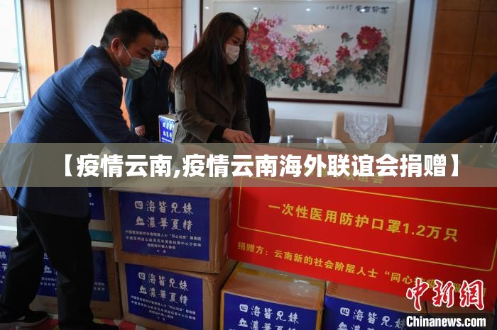 【疫情云南,疫情云南海外联谊会捐赠】