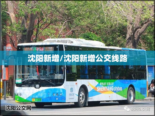 沈阳新增/沈阳新增公交线路
