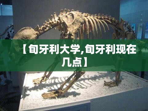 【旬牙利大学,旬牙利现在几点】