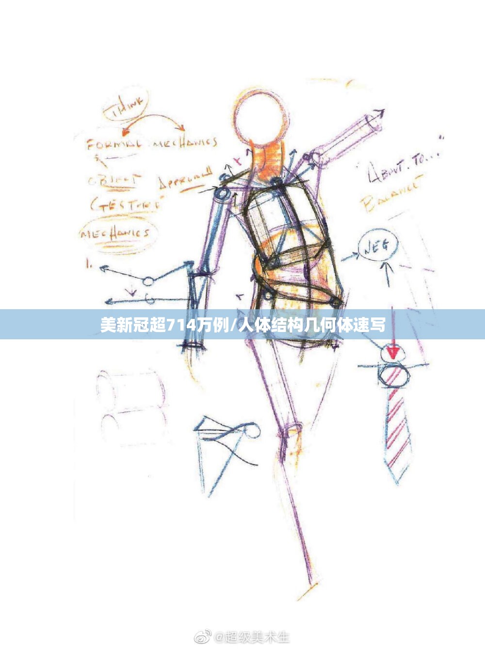 美新冠超714万例/人体结构几何体速写