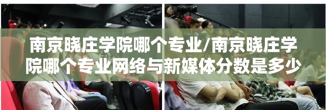 南京晓庄学院哪个专业/南京晓庄学院哪个专业网络与新媒体分数是多少