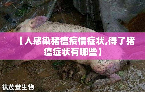 【人感染猪瘟疫情症状,得了猪瘟症状有哪些】 【人感染猪瘟疫情症状,得了猪瘟症状有哪些】