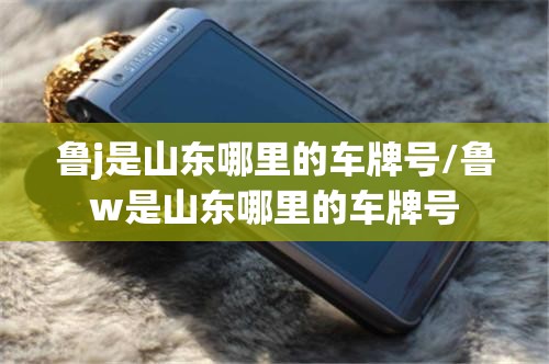 鲁j是山东哪里的车牌号/鲁w是山东哪里的车牌号