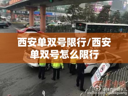 西安单双号限行/西安单双号怎么限行