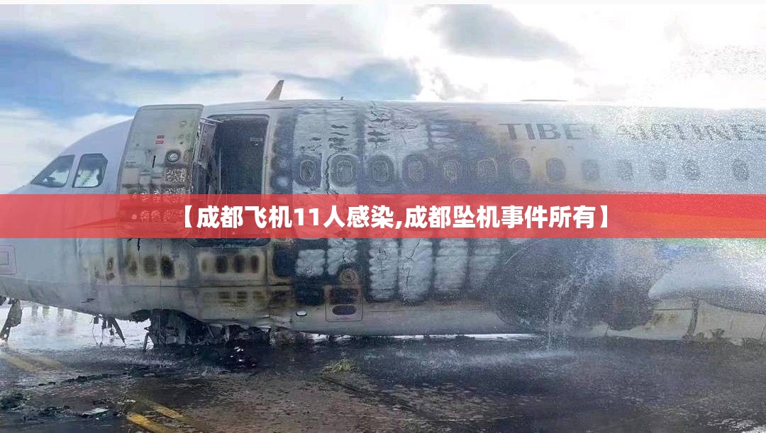 【成都飞机11人感染,成都坠机事件所有】