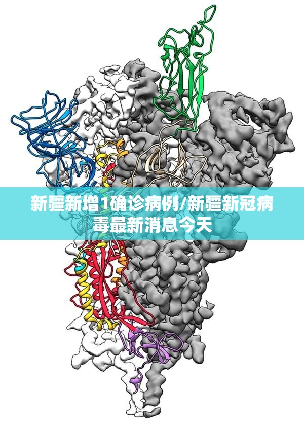 新疆新增1确诊病例/新疆新冠病毒最新消息今天 新疆新增1确诊病例/新疆新冠病毒最新消息今天