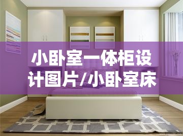 小卧室一体柜设计图片/小卧室床和衣柜一体效果图大全