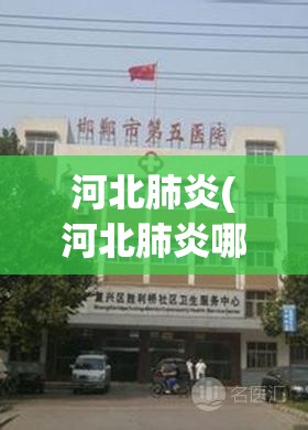 河北肺炎(河北肺炎哪个医院治疗比较好)