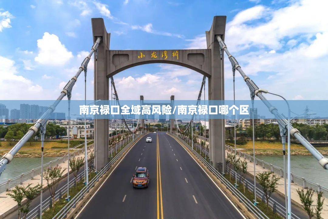 南京禄口全域高风险/南京禄口哪个区 南京禄口全域高风险/南京禄口哪个区