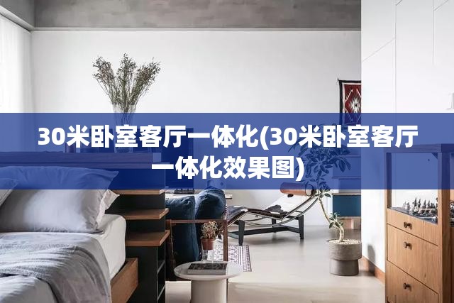 30米卧室客厅一体化(30米卧室客厅一体化效果图)