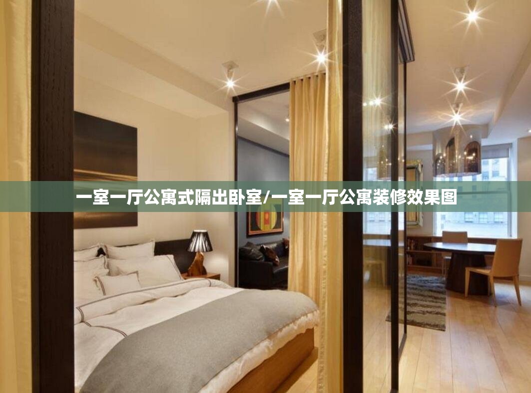 一室一厅公寓式隔出卧室/一室一厅公寓装修效果图 一室一厅公寓式隔出卧室/一室一厅公寓装修效果图