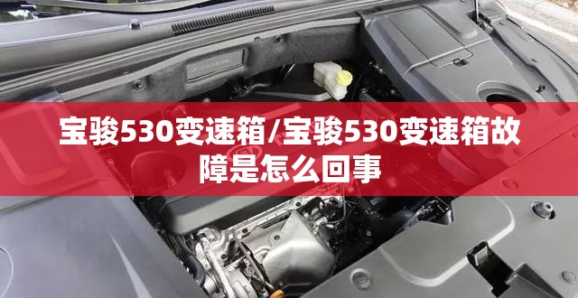 宝骏530变速箱/宝骏530变速箱故障是怎么回事