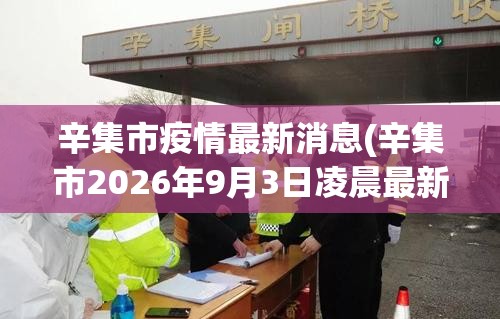 辛集市疫情最新消息(辛集市2026年9月3日凌晨最新消息)