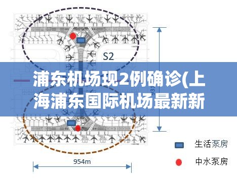 浦东机场现2例确诊(上海浦东国际机场最新新闻)