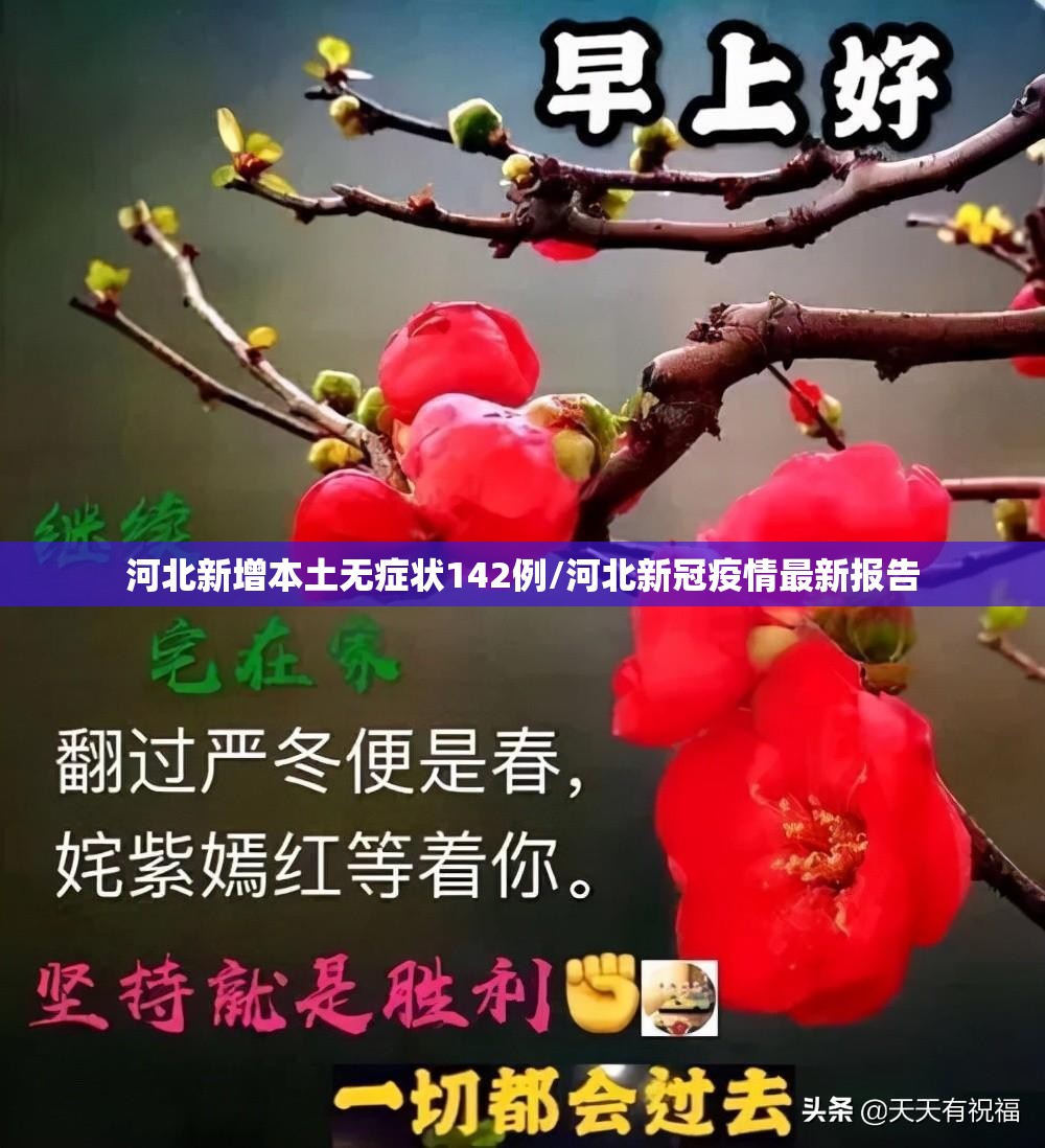 河北新增本土无症状142例/河北新冠疫情最新报告