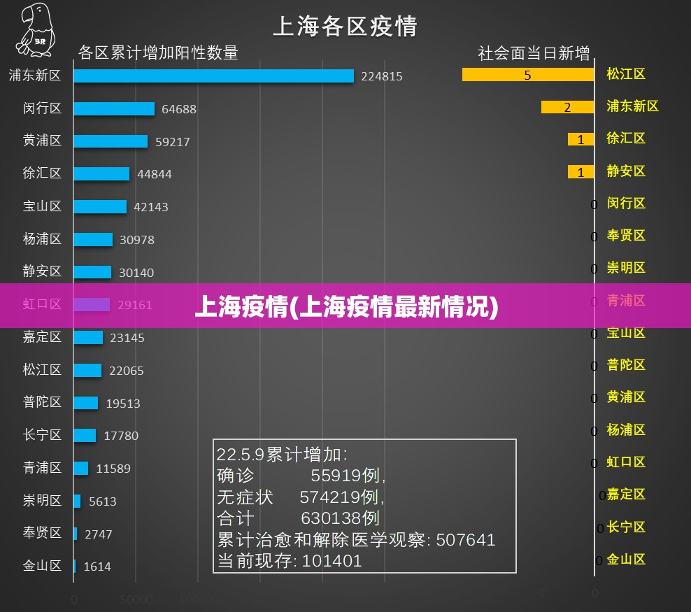 上海疫情(上海疫情最新情况)