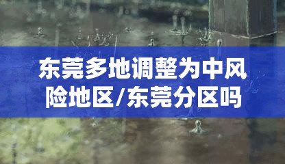东莞多地调整为中风险地区/东莞分区吗