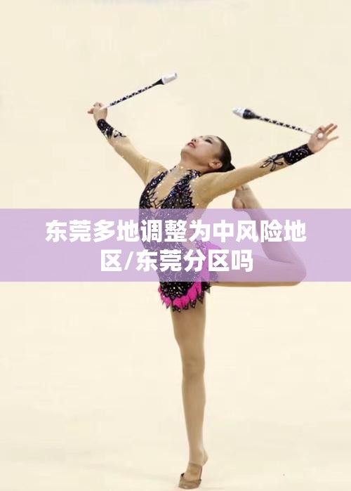 东莞多地调整为中风险地区/东莞分区吗