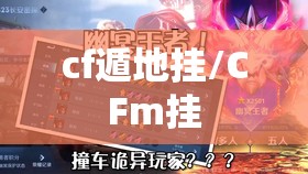 cf遁地挂/CFm挂 cf遁地挂/CFm挂