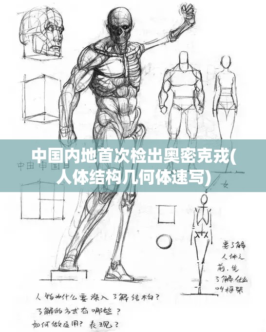 中国内地首次检出奥密克戎(人体结构几何体速写)