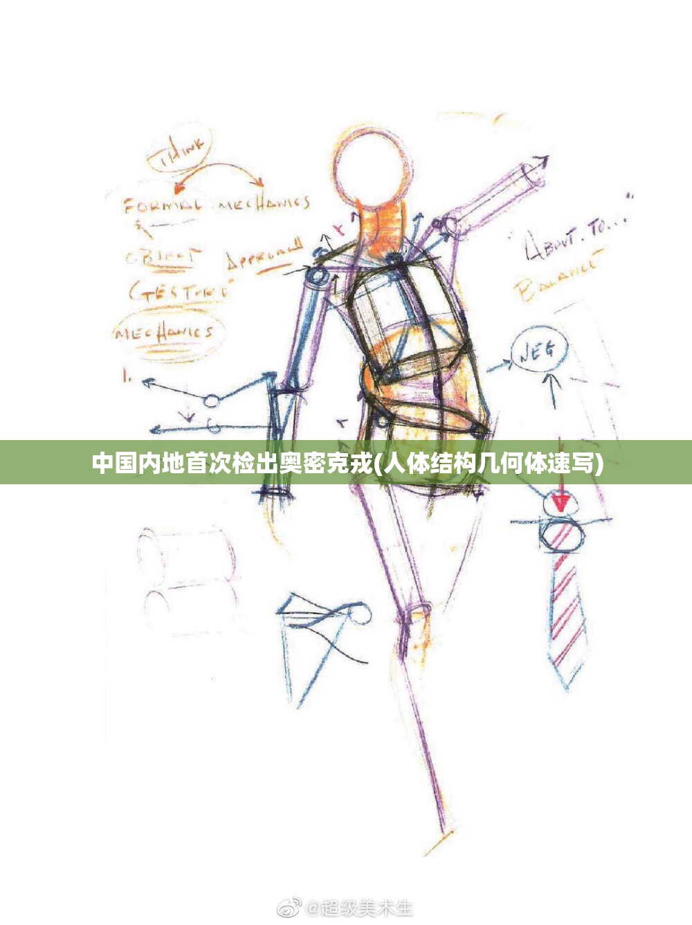 中国内地首次检出奥密克戎(人体结构几何体速写)
