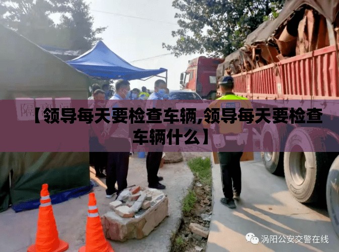 【领导每天要检查车辆,领导每天要检查车辆什么】
