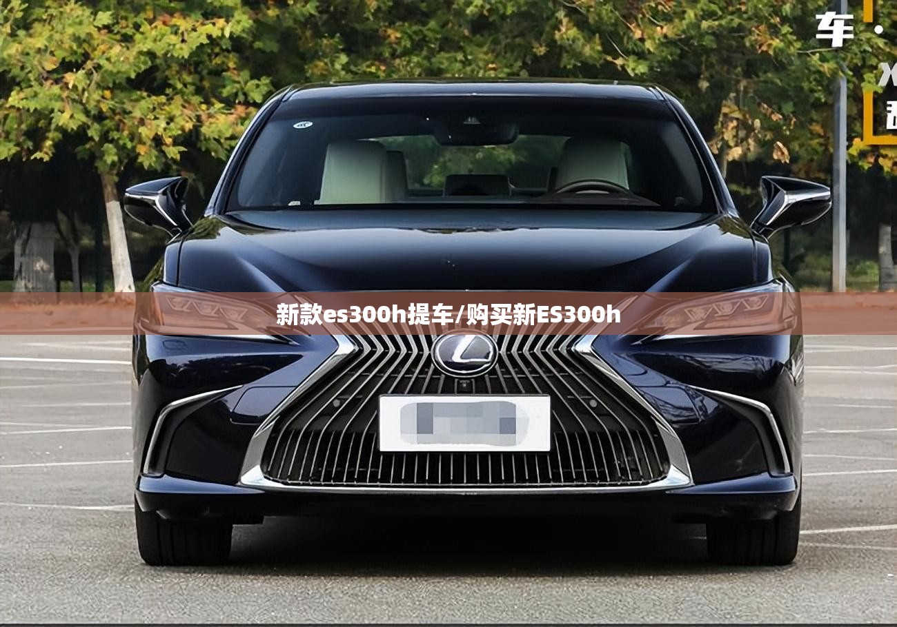 新款es300h提车/购买新ES300h 新款es300h提车/购买新ES300h