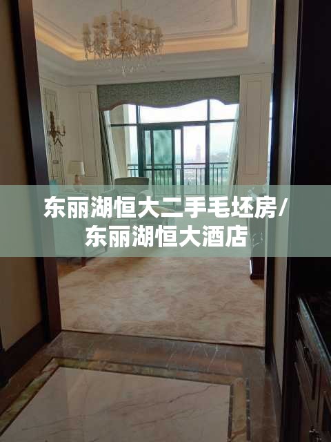 东丽湖恒大二手毛坯房/东丽湖恒大酒店