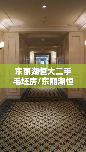 东丽湖恒大二手毛坯房/东丽湖恒大酒店