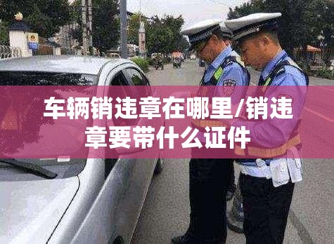 车辆销违章在哪里/销违章要带什么证件
