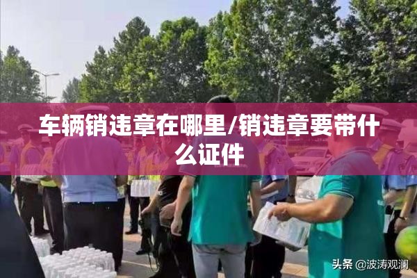 车辆销违章在哪里/销违章要带什么证件 车辆销违章在哪里/销违章要带什么证件