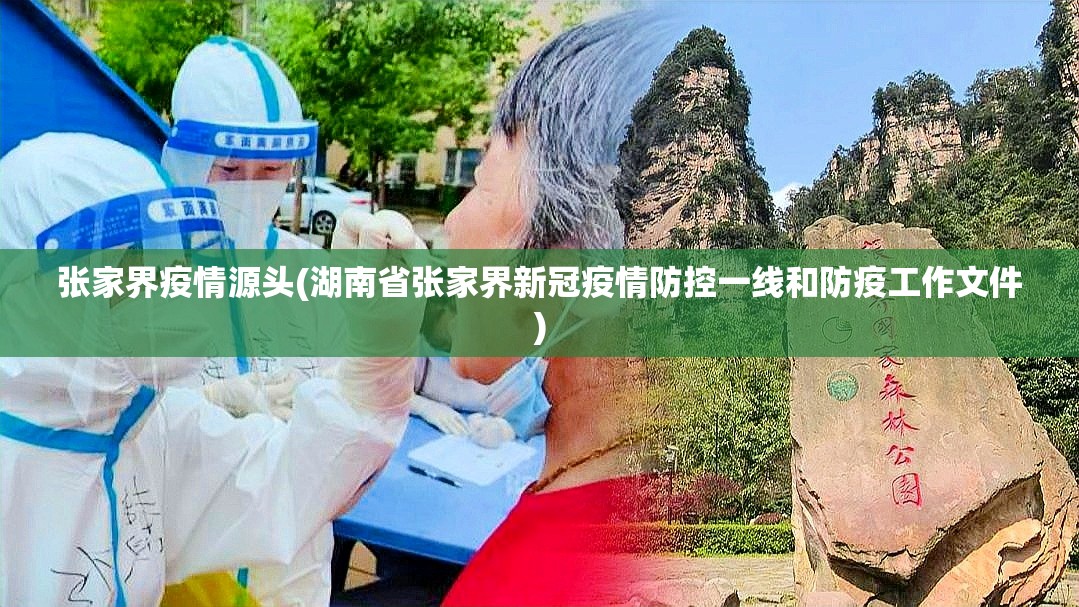 张家界疫情源头(湖南省张家界新冠疫情防控一线和防疫工作文件)