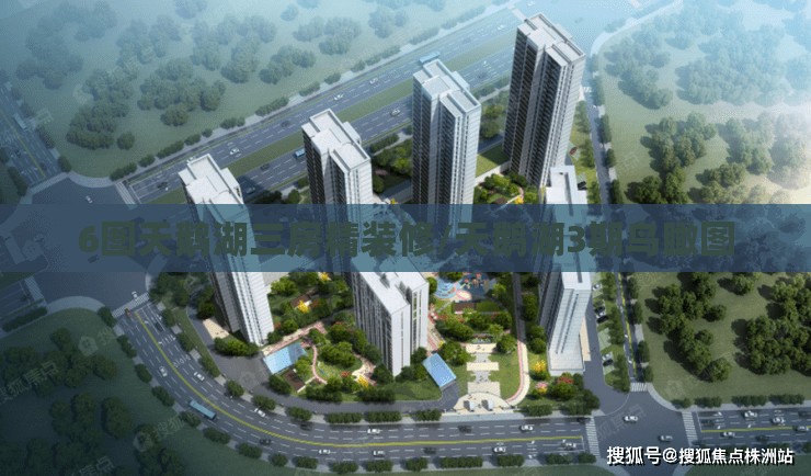6图天鹅湖三房精装修/天鹅湖3期鸟瞰图