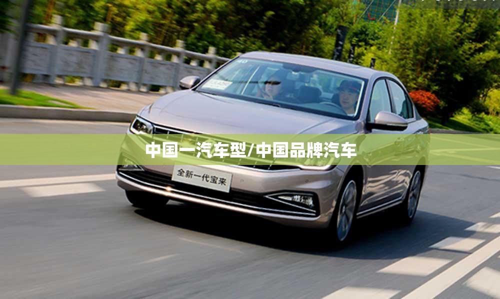 中国一汽车型/中国品牌汽车 中国一汽车型/中国品牌汽车