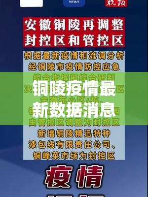 铜陵疫情最新数据消息(铜陵疫情封城)