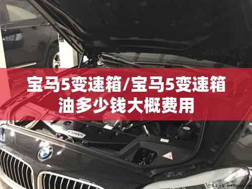 宝马5变速箱/宝马5变速箱油多少钱大概费用 宝马5变速箱/宝马5变速箱油多少钱大概费用