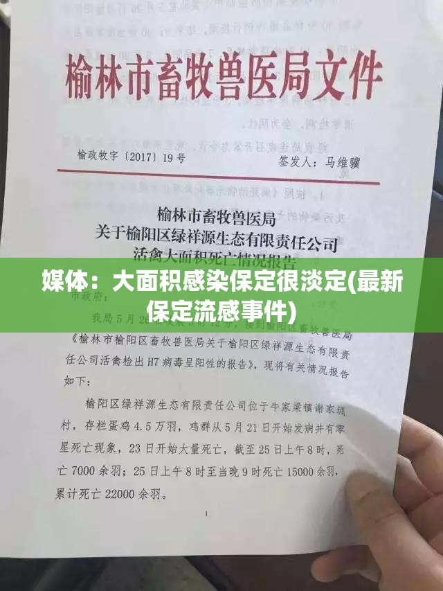 媒体：大面积感染保定很淡定(最新保定流感事件)