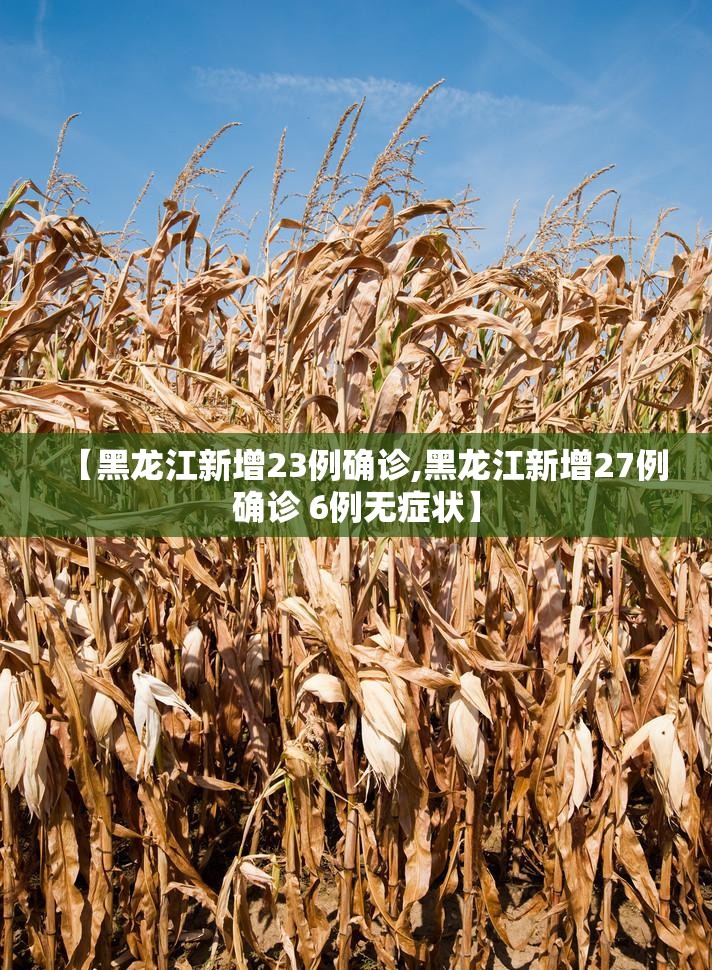 【黑龙江新增23例确诊,黑龙江新增27例确诊 6例无症状】