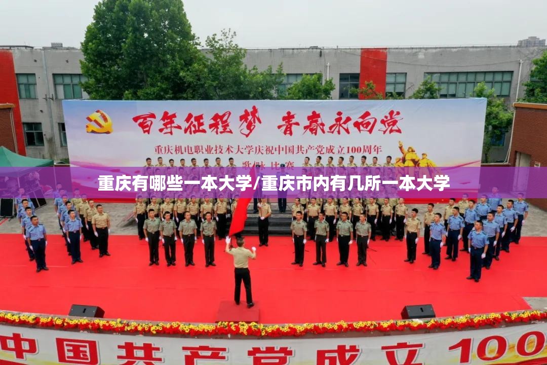重庆有哪些一本大学/重庆市内有几所一本大学