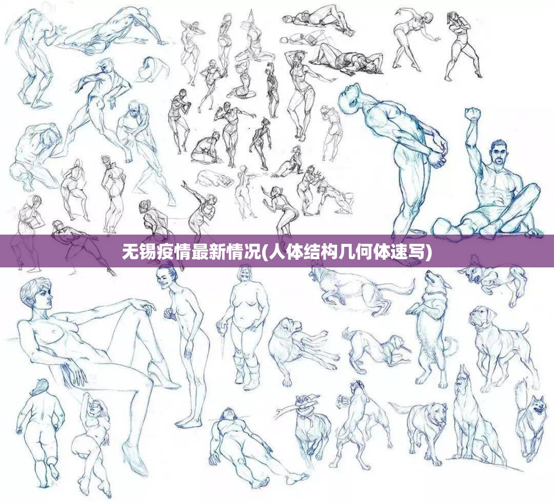 无锡疫情最新情况(人体结构几何体速写)