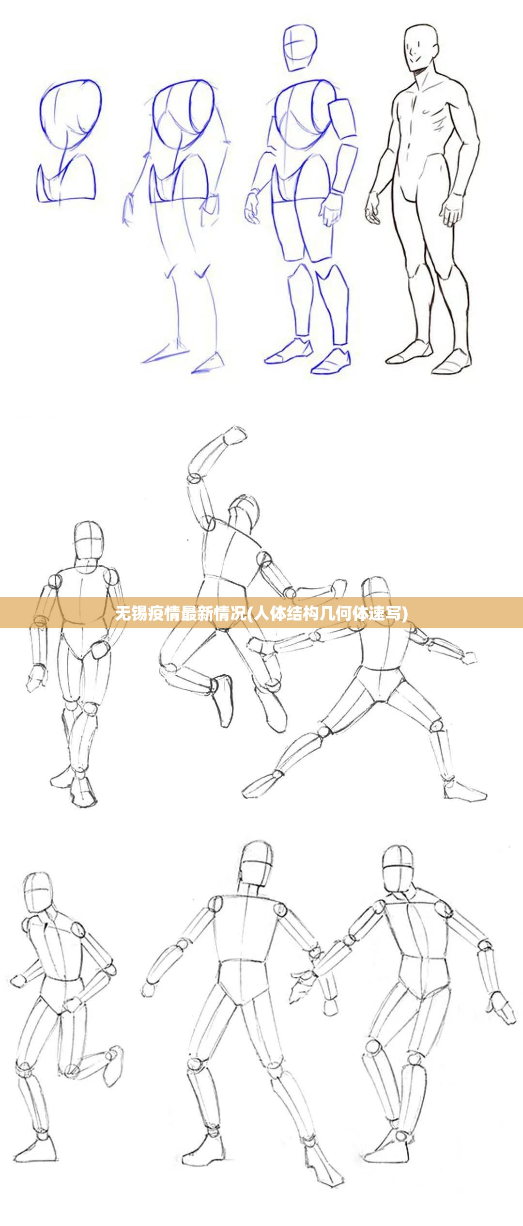 无锡疫情最新情况(人体结构几何体速写)
