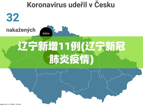 辽宁新增11例(辽宁新冠肺炎疫情)