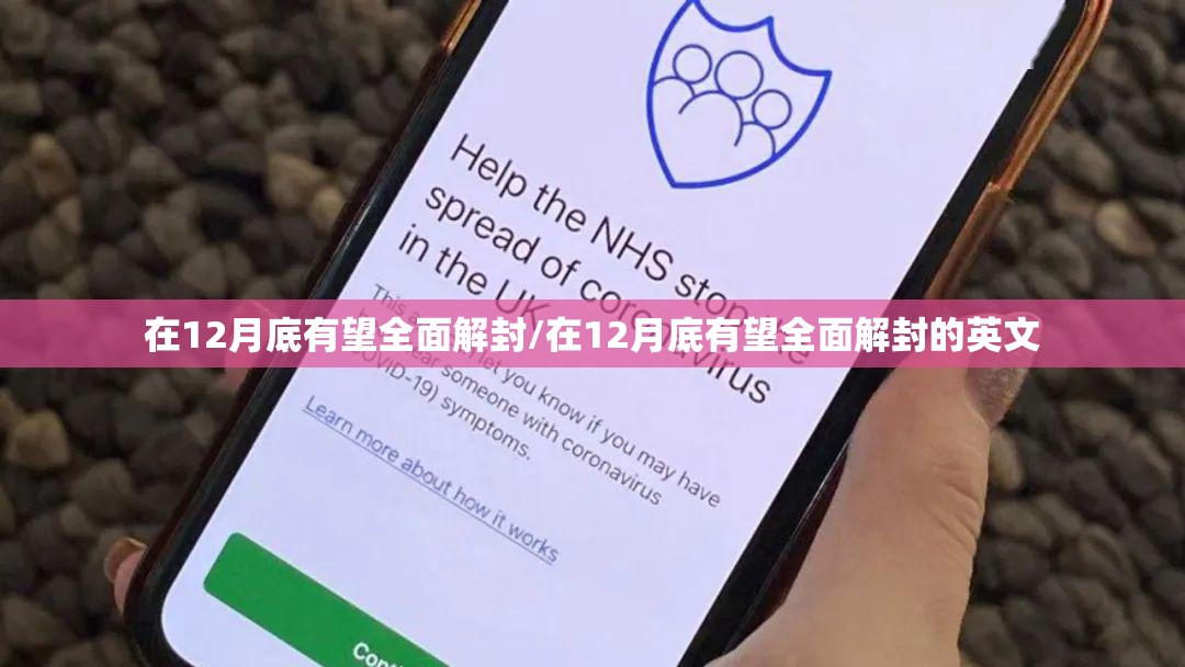在12月底有望全面解封/在12月底有望全面解封的英文
